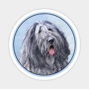 Bergamasco Sheepdog Painting - Cute Original Dog Art Magnet